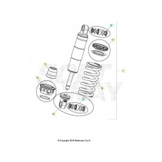 Beta EVO250 25 Schwingarm/Federbein 2