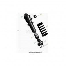 Beta  EVO250 Factory 21 Schwingarm/Federbein