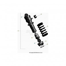 Beta EVO300 Factory 21 Schwingarm/Federbein