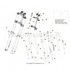 Beta EVO250 Factory 17 Gabel