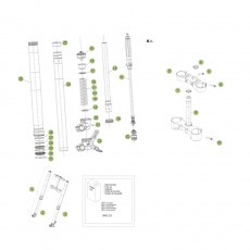 Beta RR250 2T Racing 14 Gabel 1