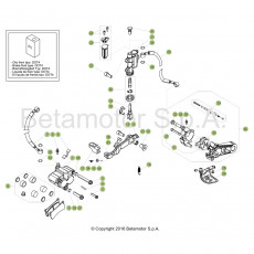 Beta EVO300 SS 19 Bremsen