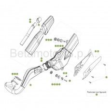 Beta EVO250 Factory 17 Auspuffsystem