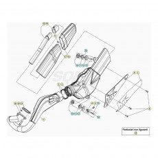 Beta EVO300 SS 20 Auspuffsystem