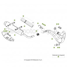 Beta RR250 19 Auspuffsystem