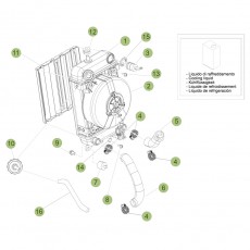 Beta EVO250 4T 09 Kühlsystem