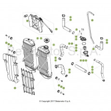 Beta RR250 19 Kühlsystem