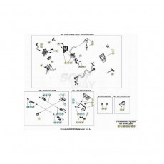 Beta EVO250 21 Kabelstrang