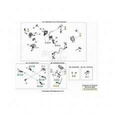 Beta  EVO250 Factory 21 Kabelstrang