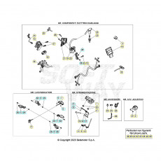 Beta EVO300 2T 24 Kabelstrang