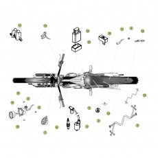 Beta EVO300 Factory 11 Kabelstrang