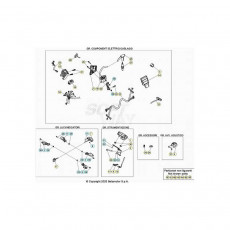 Beta EVO300 Factory 22 Kabelstrang