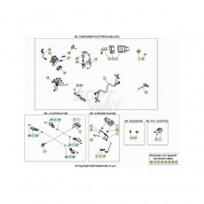 Beta EVO300 Factory 4T 20 Kabelstrang