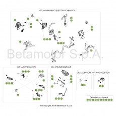 Beta EVO300 SS 17 Kabelstrang