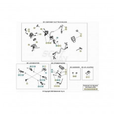 Beta EVO300 SS 21 Kabelstrang