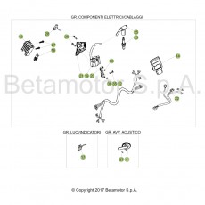 Beta EVO300 SS Factory 17 Kabelstrang