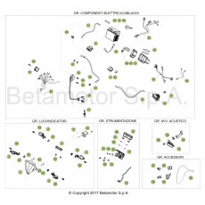 Beta RR250 19 Kabelstrang
