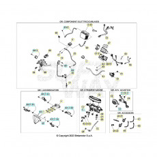 Beta RR250 24 Kabelstrang