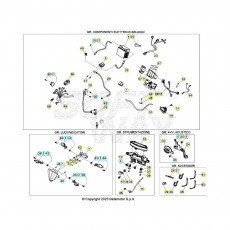 Beta RR250 26 Kabelstrang