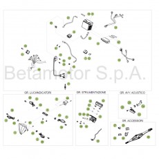 Beta RR250 2T Racing 16 Kabelstrang