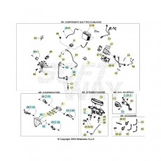 Beta RR250RC 25 Kabelstrang