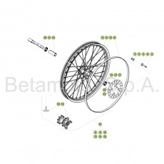 Beta EVO250 Factory 17 Vorderrad