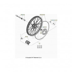 Beta  EVO250 Factory 23 Vorderrad