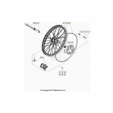 Beta EVO300 SS 21 Vorderrad