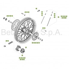 Beta EVO250 4T 17 Hinterrad