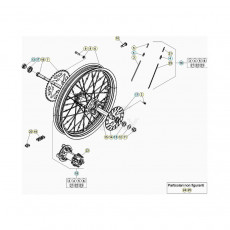 Beta EVO300 2T 20 Hinterrad