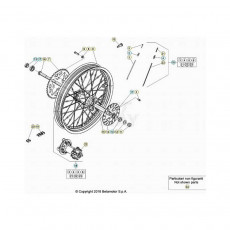 Beta EVO300 Factory 4T 21 Hinterrad