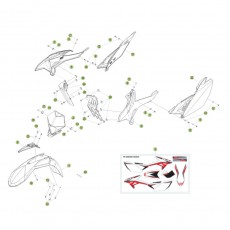 Beta RR125 15 Verkleidung/Sitzbank/Tank 1