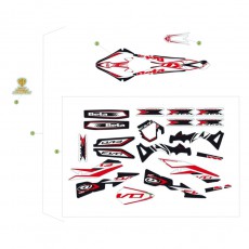 Beta EVO250 Factory 14 Verkleidung/Sitzbank/Tank 2