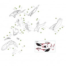 Beta RR300 14 Verkleidung-Sitzbank-Tank 2