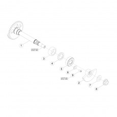 Beta RR400 14 Kurbelwelle - Kolben - Ausgleichswelle