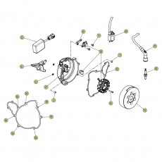 Beta EVO250 4T 16 Zündanlage