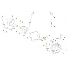 Beta RR480 Racing 17 Zündanlage