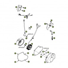 Beta RR400 06 Zündanlage