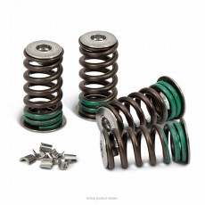 Pro Circuit Valve Spring Ventilfedern Kit KXF250 04-20 Pro Circuit Valve Spring Ventilfedern Kit KXF250 04-20