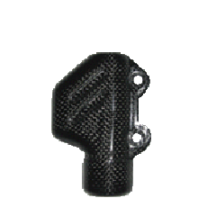 Bremszylinderschutz carbon