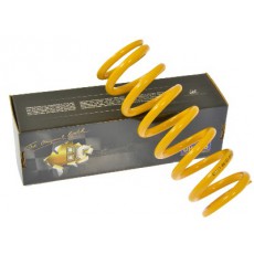 Spring Ohlins TTX 5.8
