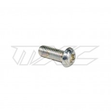 MotoMaster Disc Bolt Torx