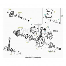 Beta RR300RC 22 Kurbelwelle/Kolben/Ausgleichswelle