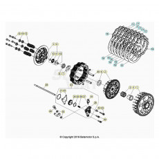 Beta RR390 21 Primärtrieb/Kupplung