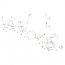 Beta RR350 16 Zündanlage