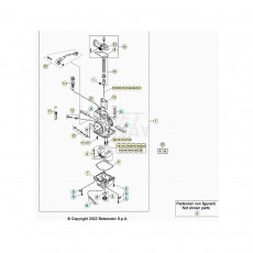 Beta Xtrainer250 22 Vergaser
