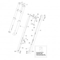Beta EVO250 09 Gabel