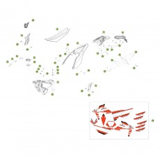 Beta RR350 16 Verkleidung - Sitzbank -Tank 1