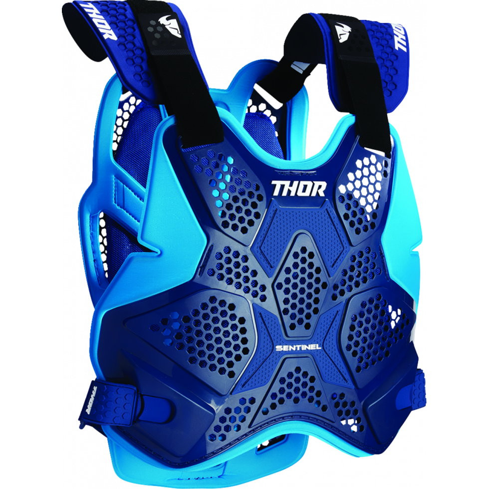 Thor Sentinel Pro Guard