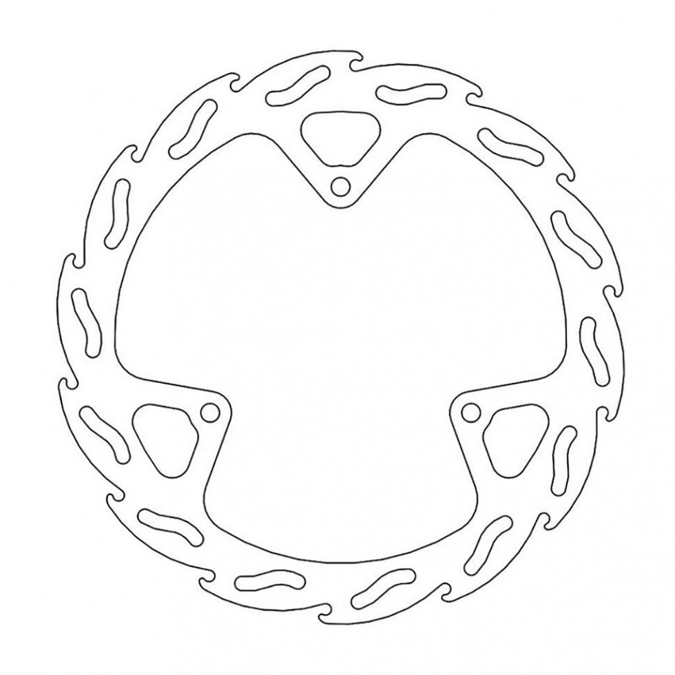 MotoMaster Brake Disc Flame